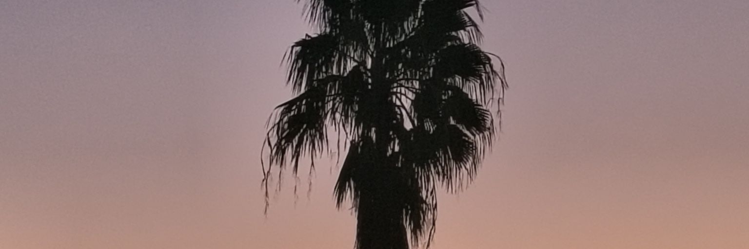 living dead guy banner