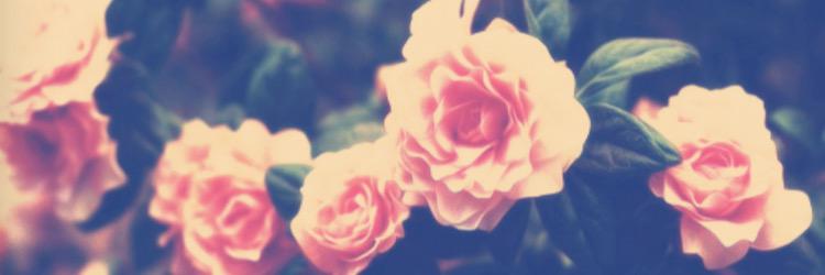 rubyyblue's profile banner image