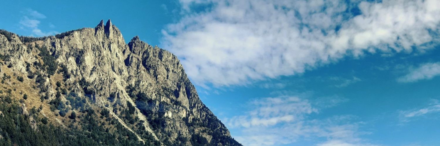 RocHurtado's profile banner image