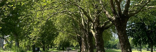 CampaignerAbdi Profile Banner