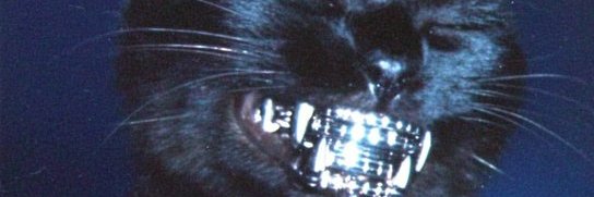 Anon ~ ( Andrea Arc)'s banner