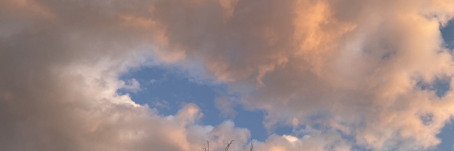 Adrianarnoto's profile banner image