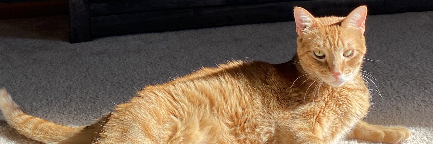 EmmyPanzyPio's profile banner image