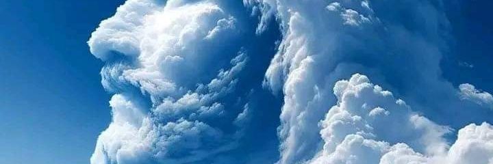 whyseetweets's profile banner image