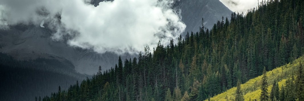 KnifeKilljoy's profile banner image