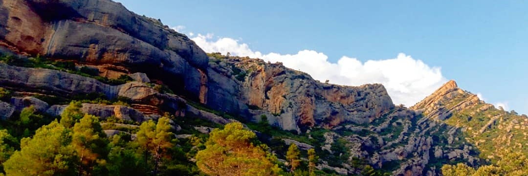 Suusi31's profile banner image