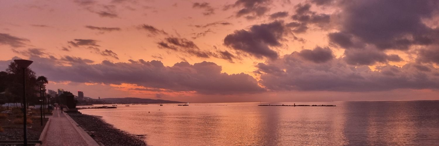 lenos banner