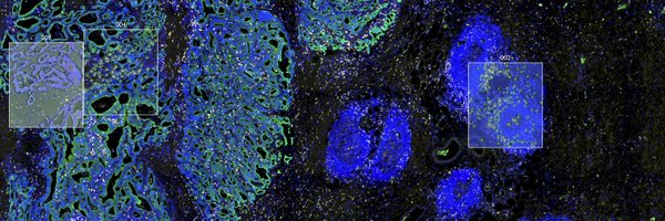 LabSpatialNBJ Profile Banner