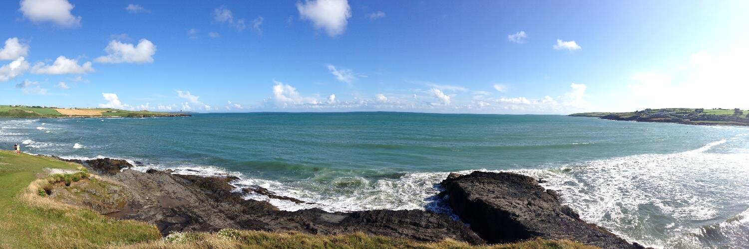 Mickey Williams banner