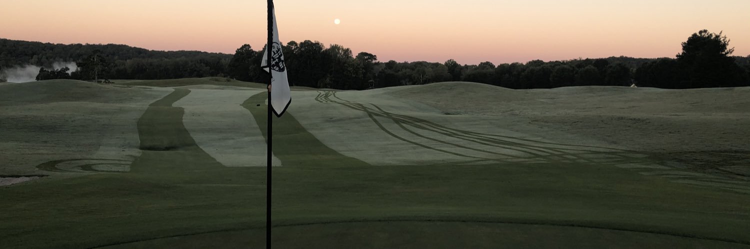 Michael E Cook banner