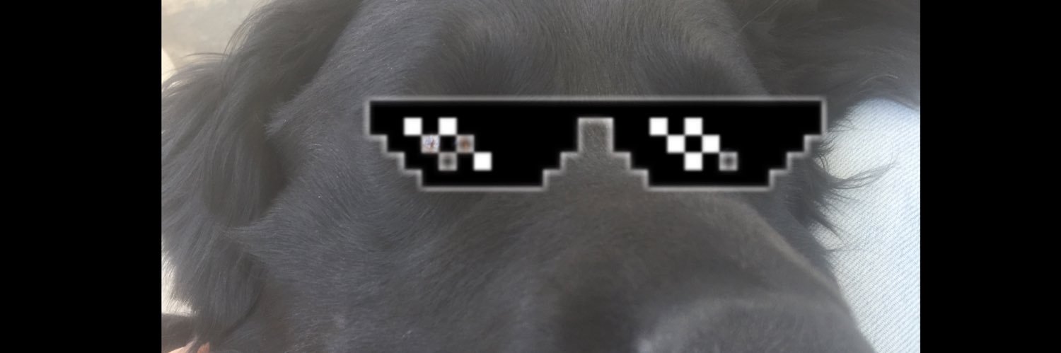 itsfridaDaniela's profile banner image
