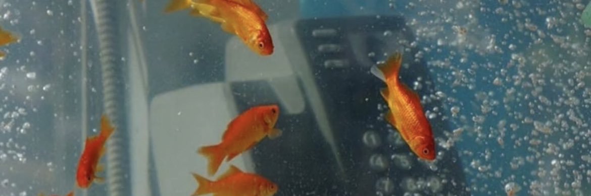 那那 banner
