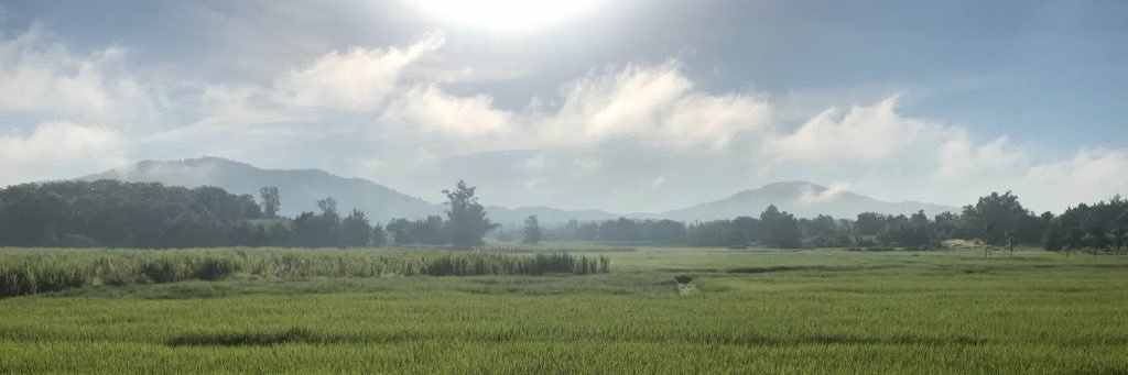 momo7964's profile banner image