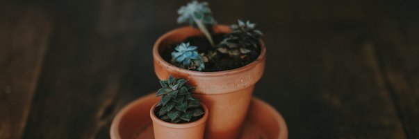 amynewsmith's profile banner image