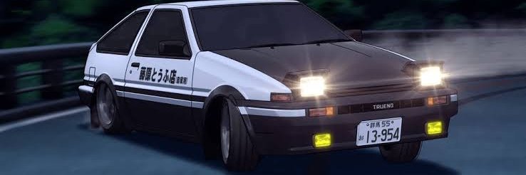 207 fernandes vieira banner