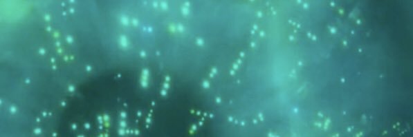 _Hi_China_'s profile banner image
