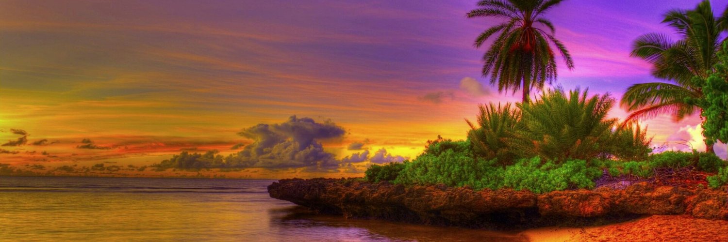Alessandra Santos banner