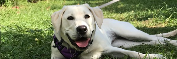 DozierPowell Profile Banner