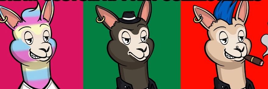 CrazyAlpaca banner
