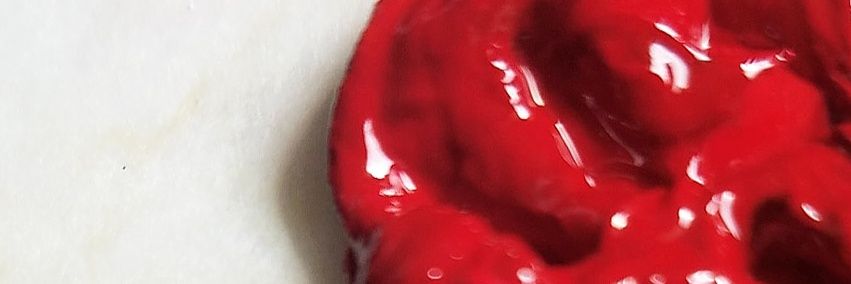 alessa_bee's profile banner image