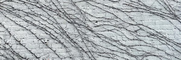 BioIntelligeNet Profile Banner