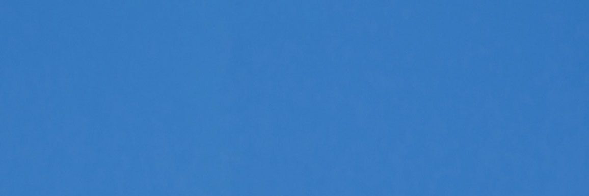 lily of the valley. banner