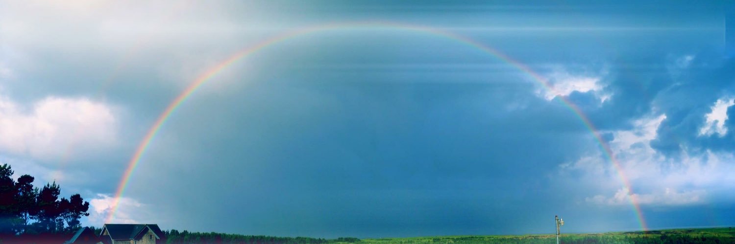 davidboleyNP's profile banner image