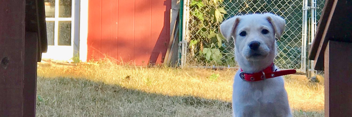Craiggers59's profile banner image
