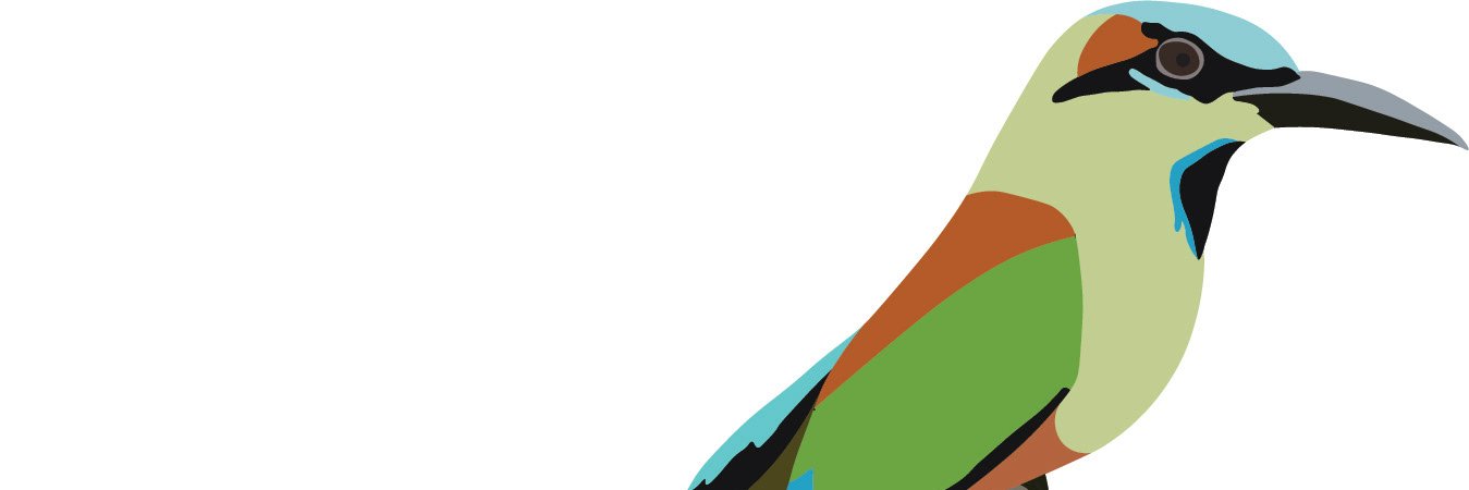 Acontecer Nica 🇳🇮 banner
