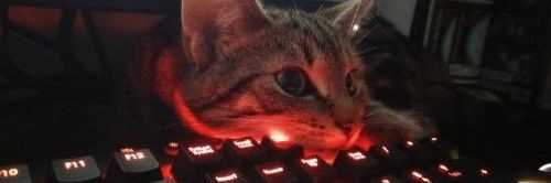 AldaveFabrizio's profile banner image