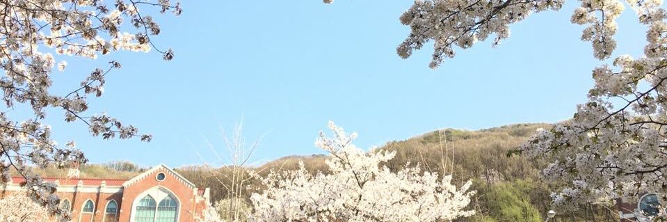 vryalways's profile banner image