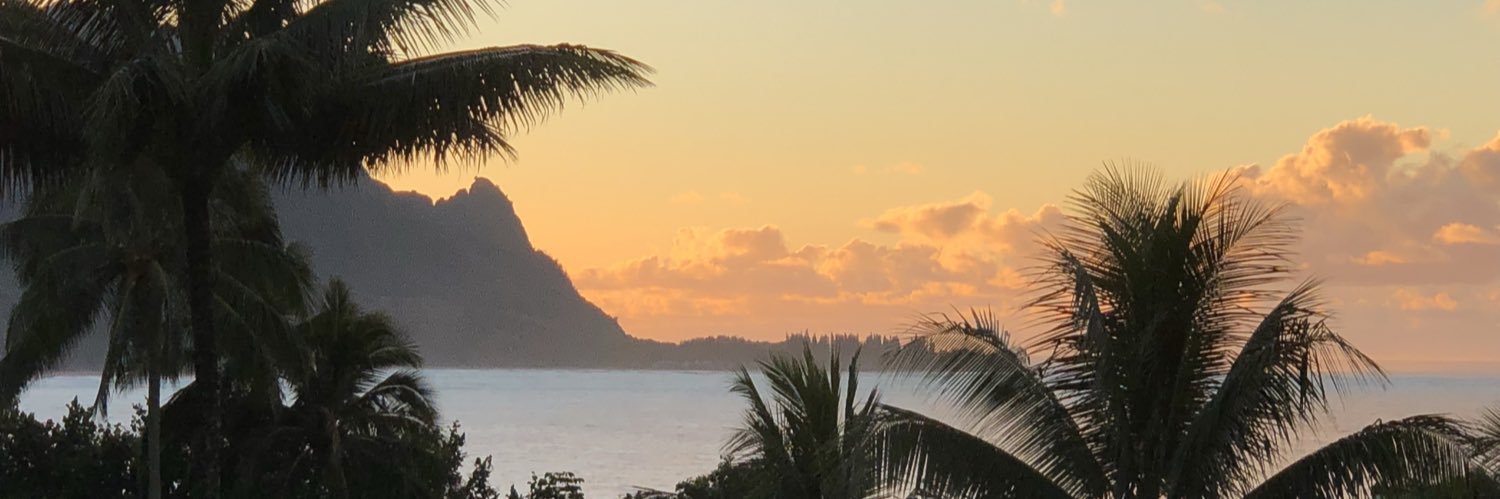 Julie H banner