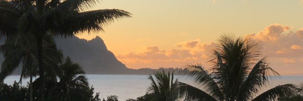 JulesHalvy Profile Banner