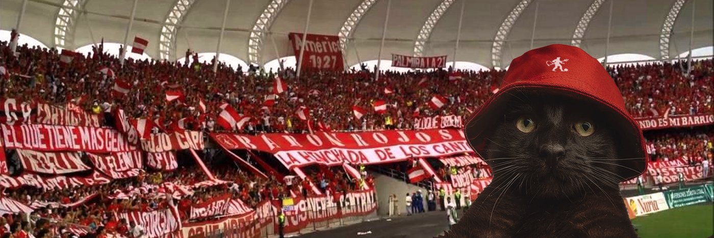 Huscat banner