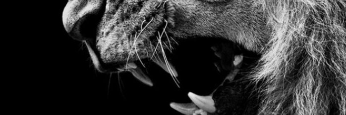 CN_Gaming_Guild's profile banner image