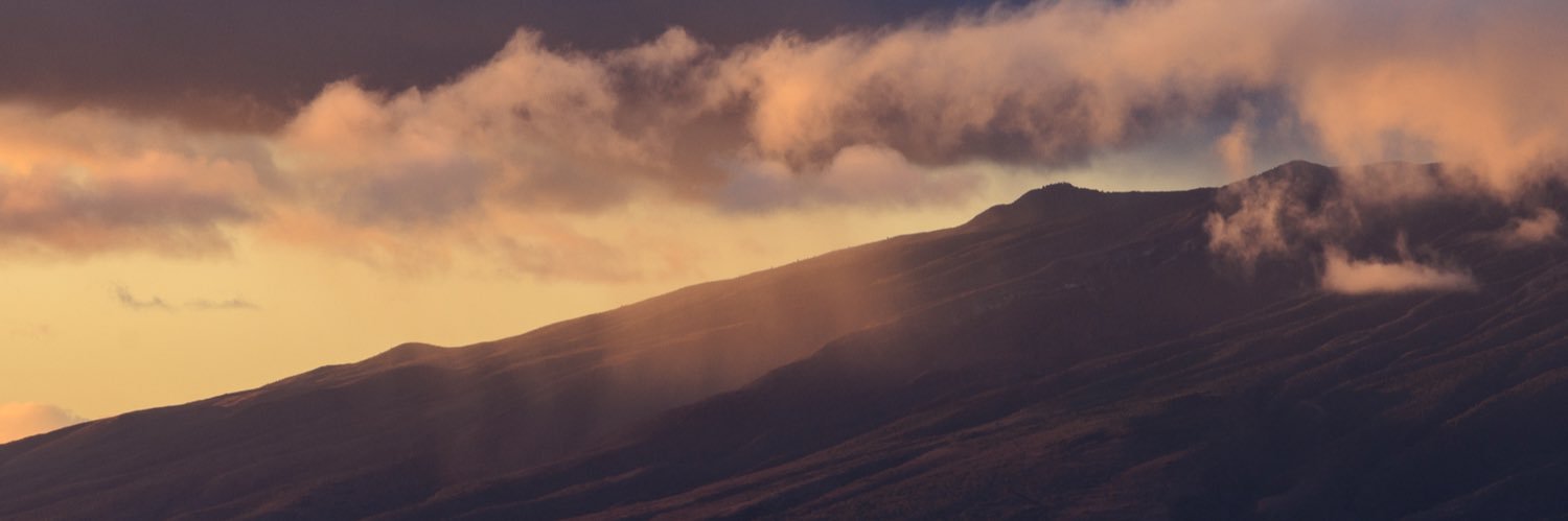 hosewater2's profile banner image