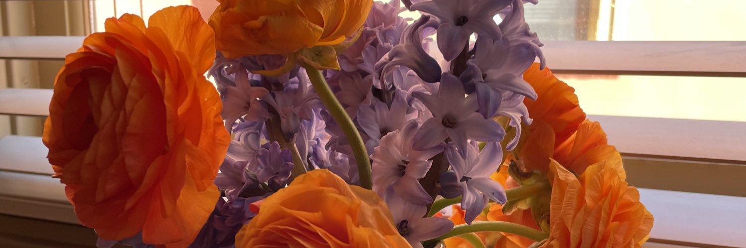 Jennifer Marmor banner