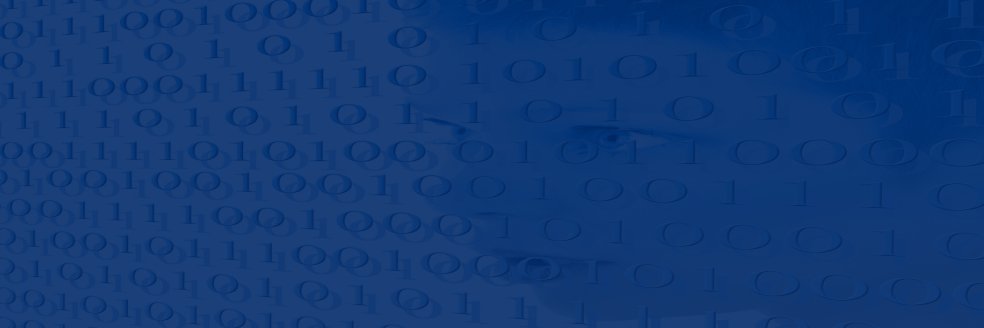 Frédéric Libaud banner