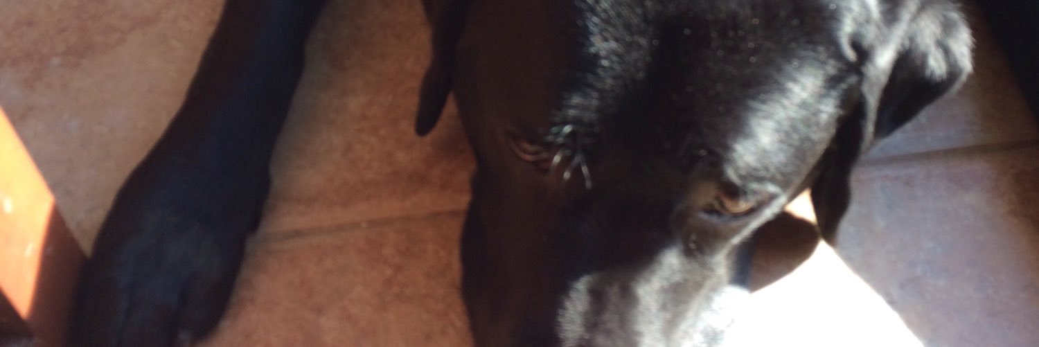 mbauco10's profile banner image