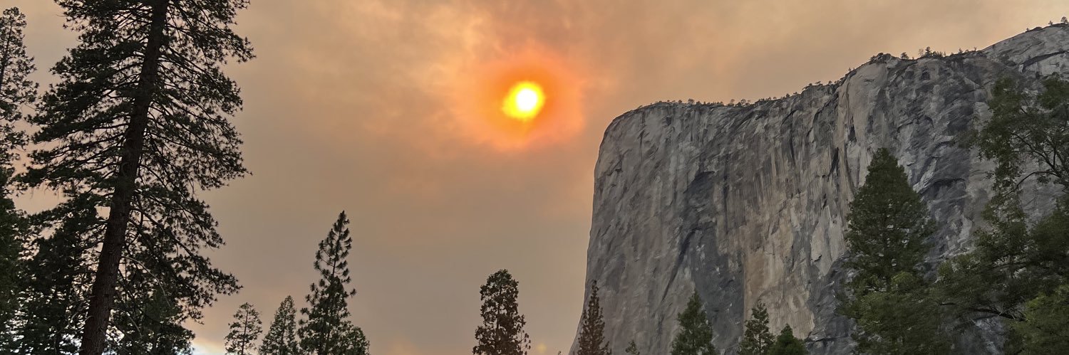 Cryptozoic.eth banner