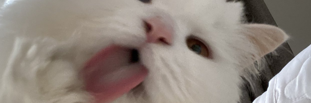 potat0bean's profile banner image