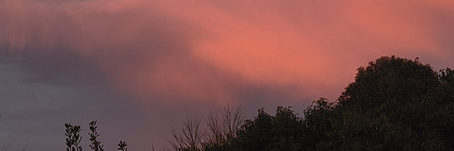 dulcebasta's profile banner image