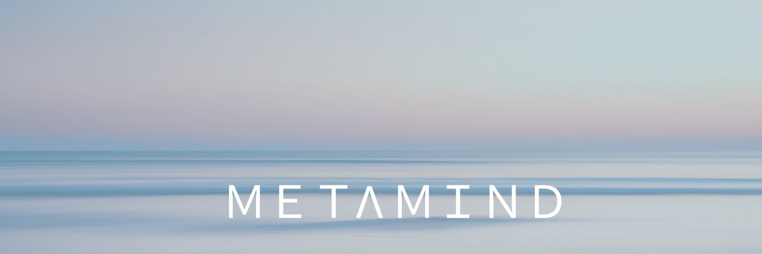 metamind banner