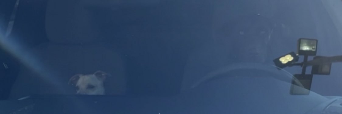 justwalker01's profile banner image
