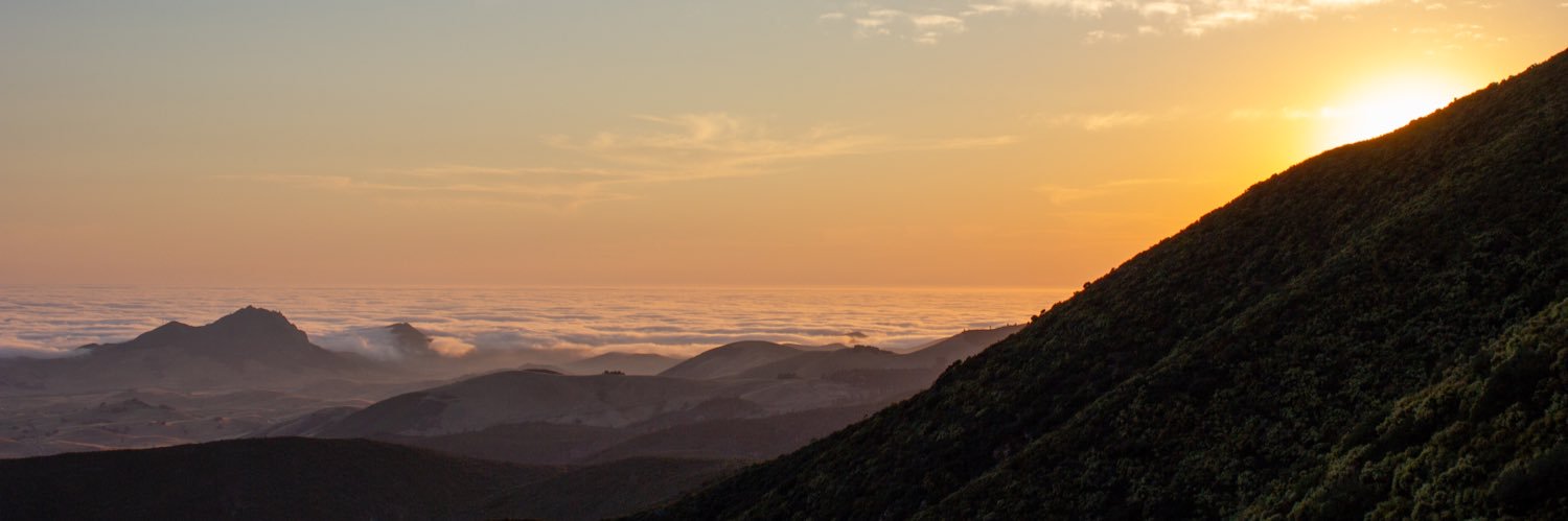 ohsnapitzemi's profile banner image