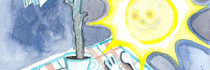 ぼっこ🍉 banner