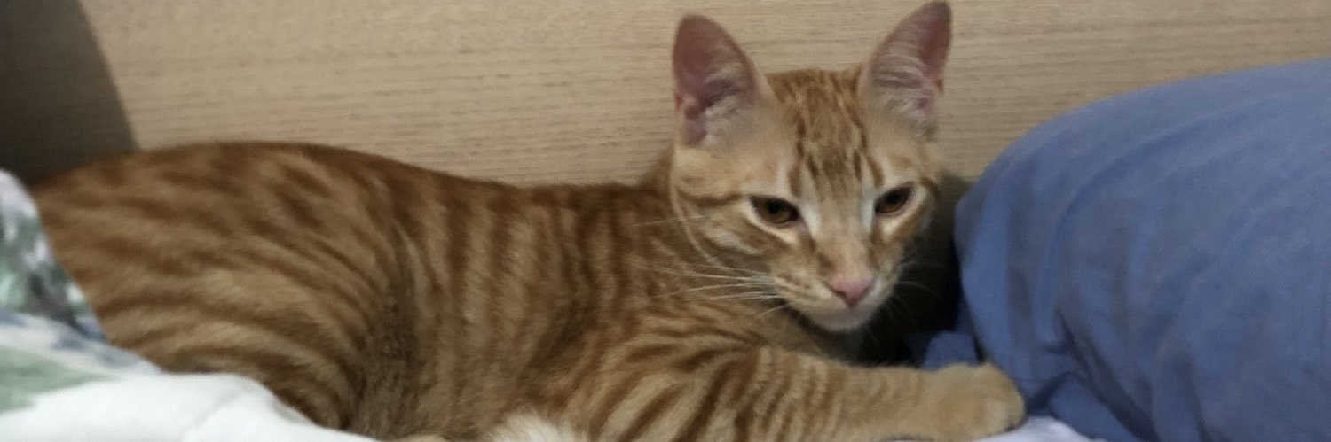 vitznakano's profile banner image