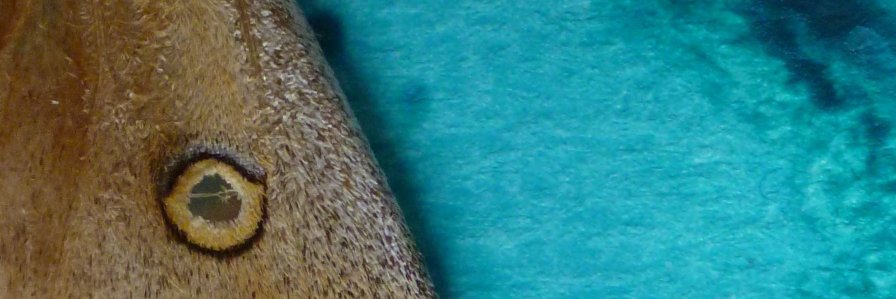 emmanuellem07's profile banner image