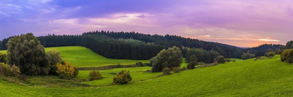 Treehugger Profile Banner