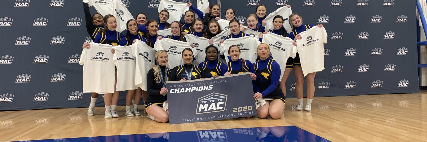 WidenerCheer's profile banner image
